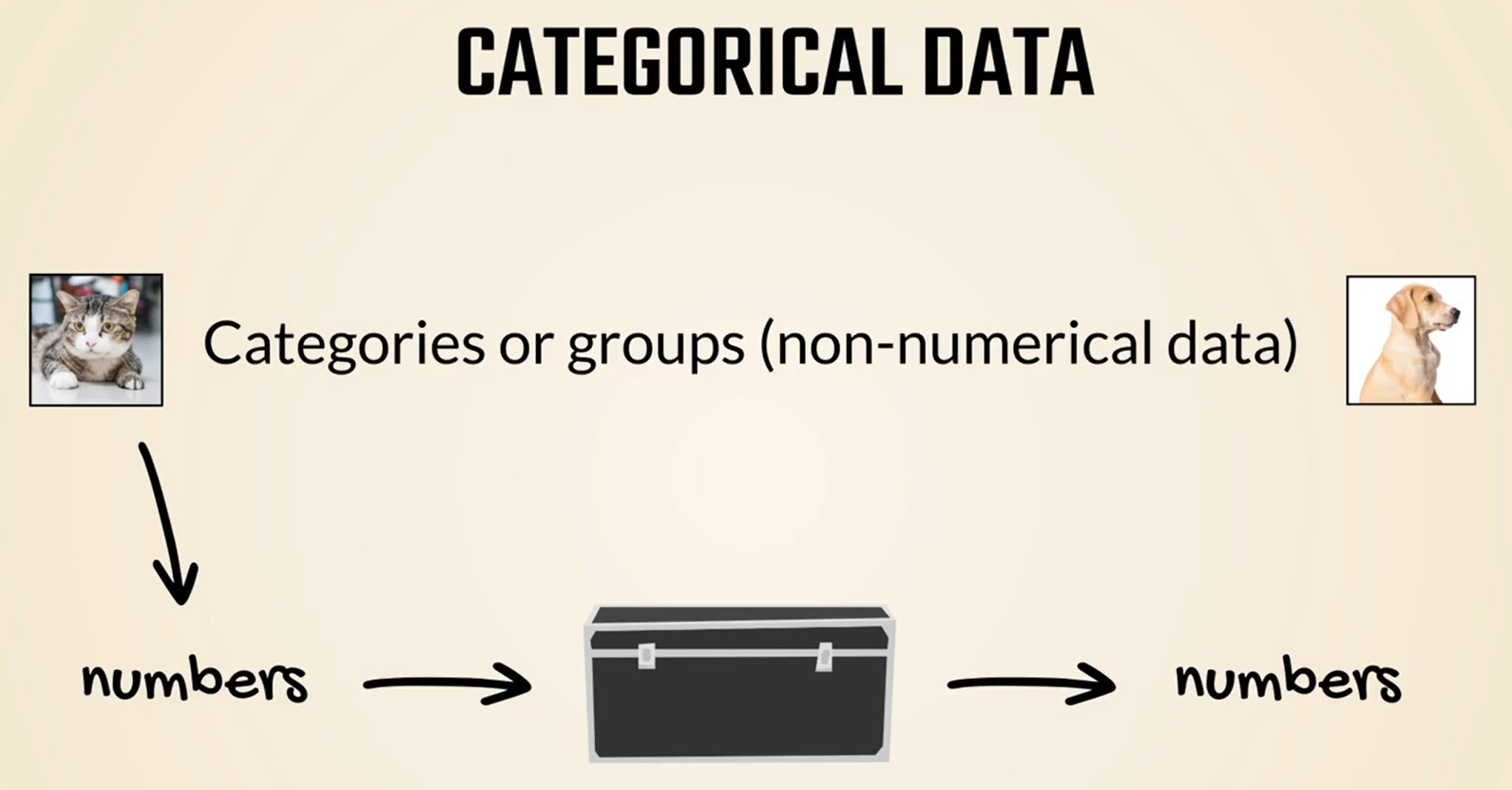 Categorical Data