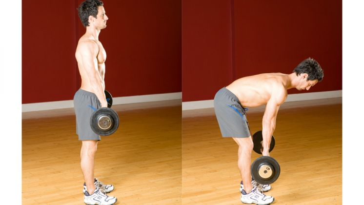 Dumbbell Straight-Leg Dead lifts