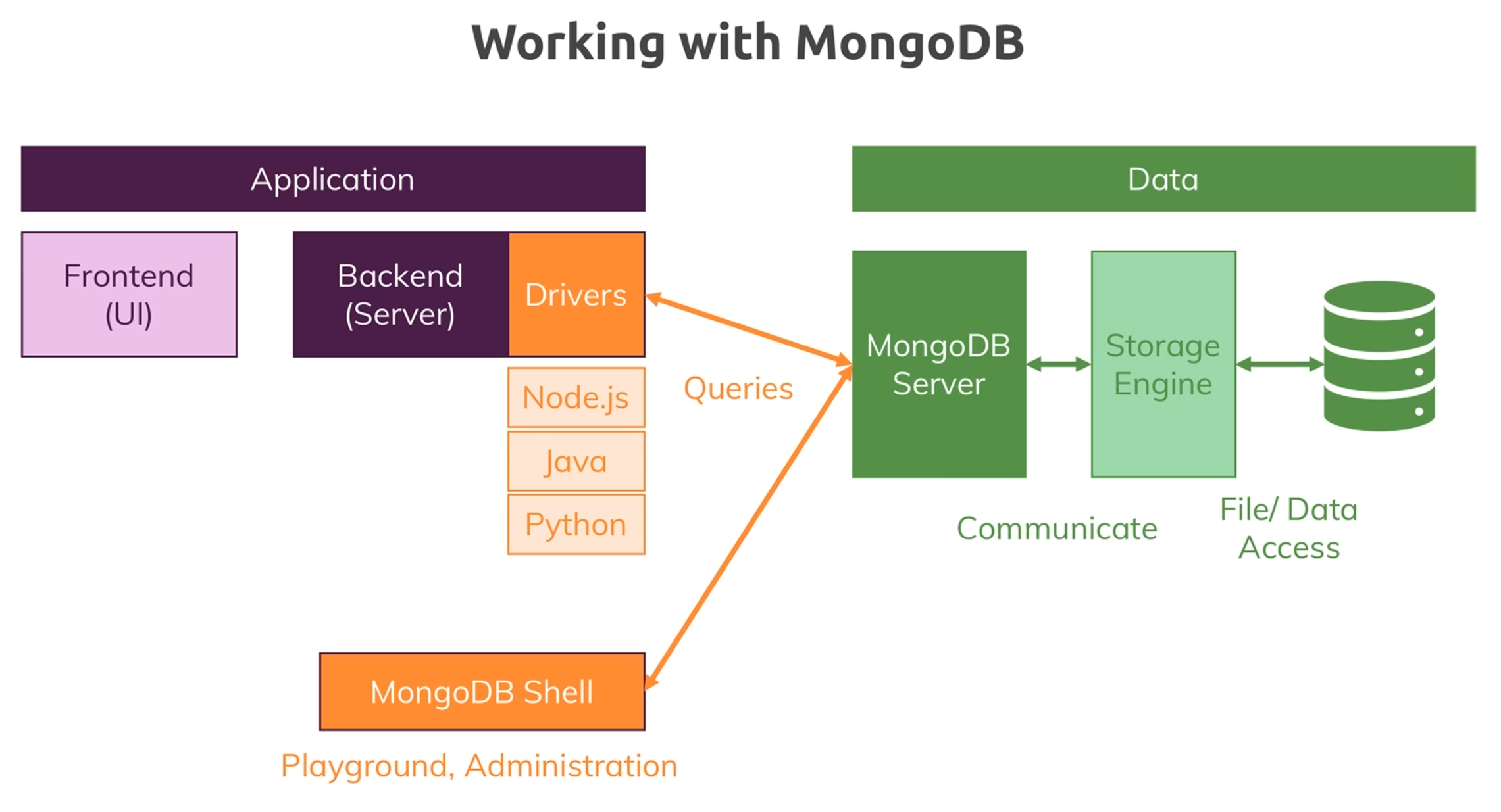 Working with MongoDB