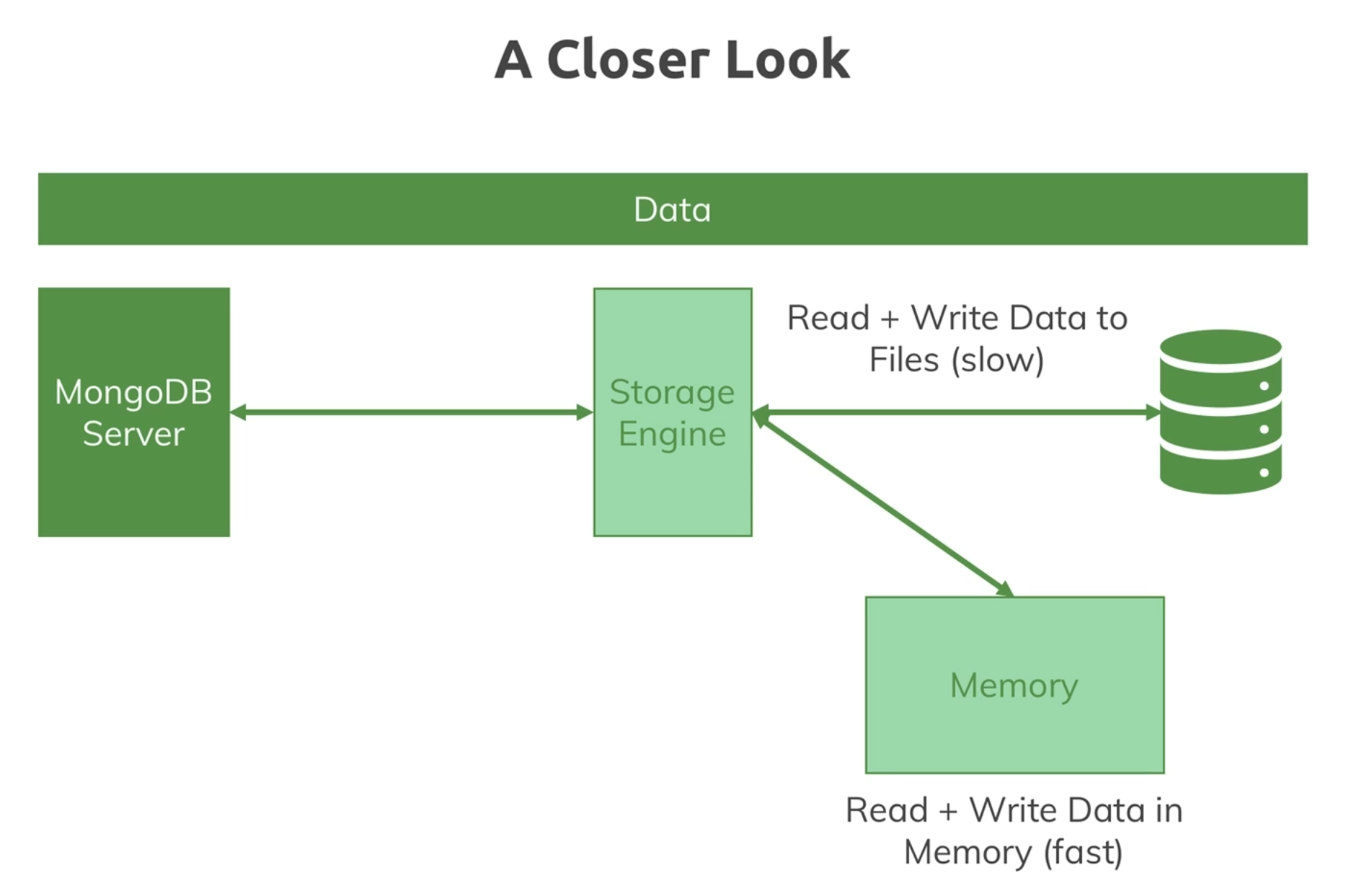 Working with MongoDB