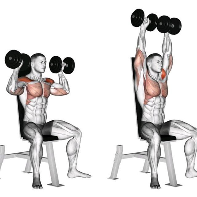 Seated Dumbbell Shoulder Press